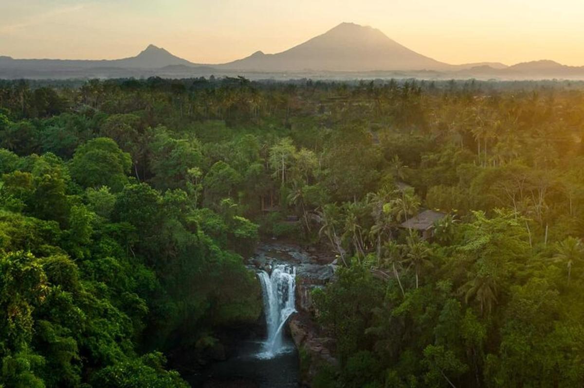 una cascada en un bosque con montañas al fondo