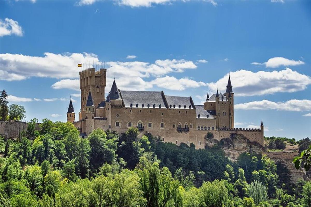 a castle on top of a hill with trees