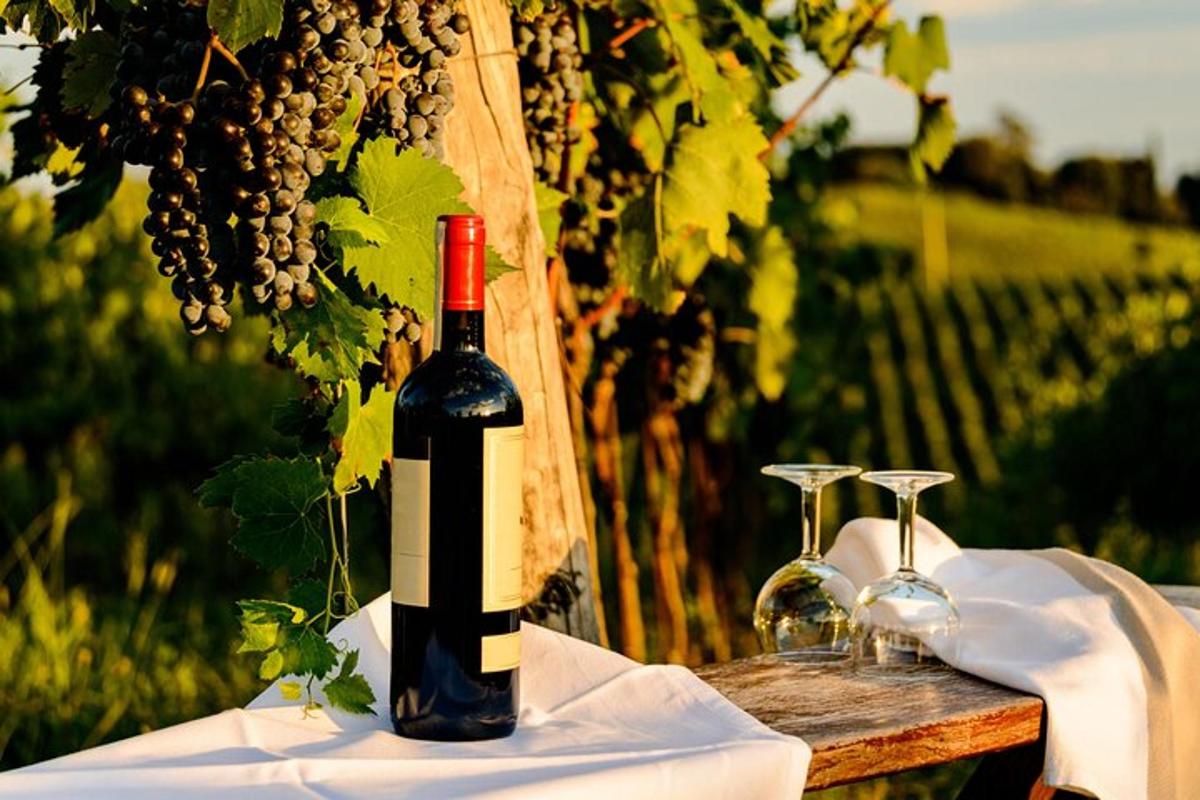 eine Flasche Wein mit Weingläsern auf einem Tisch