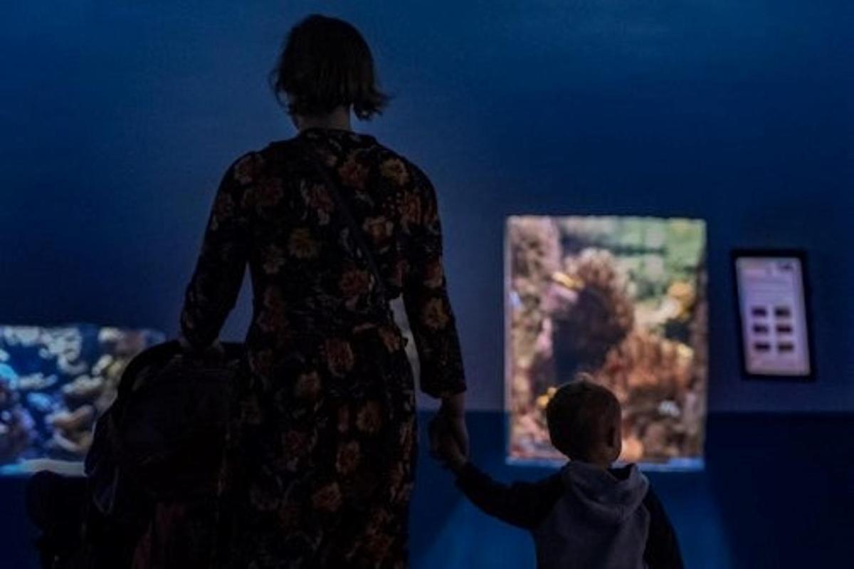 a woman and a child looking at a display in a museum