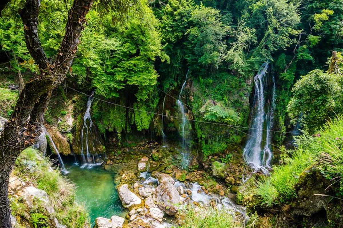 o cascadă în mijlocul pădurii