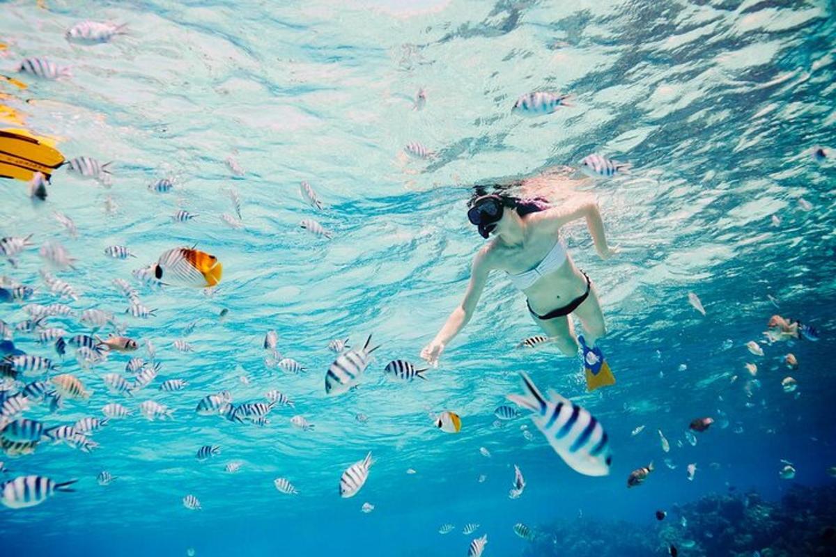 una donna che nuota nell'acqua con i pesci