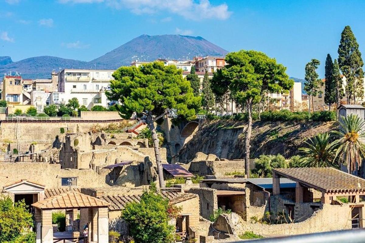 un villaggio con edifici, alberi e una montagna