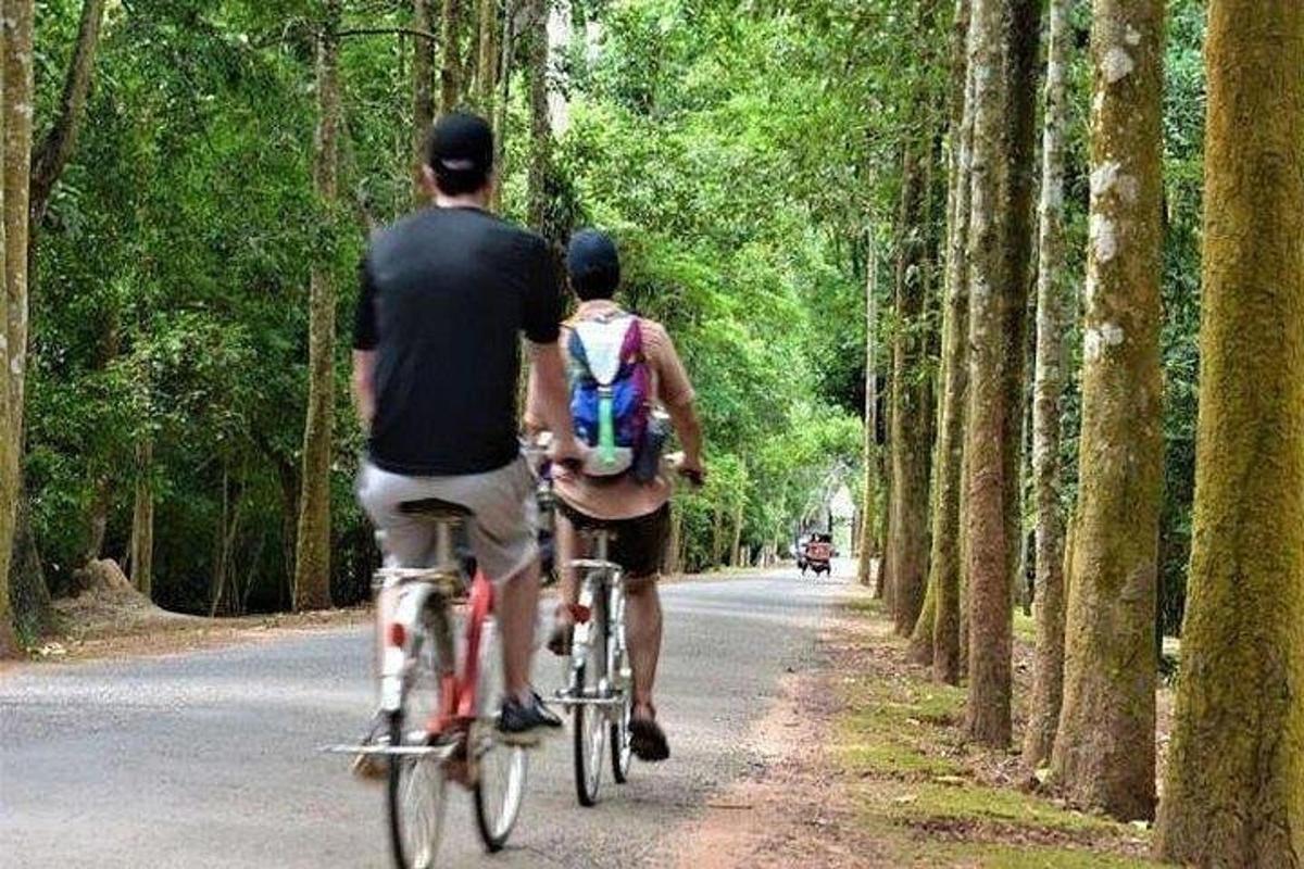 dues persones anant en bicicleta per una carretera amb arbres