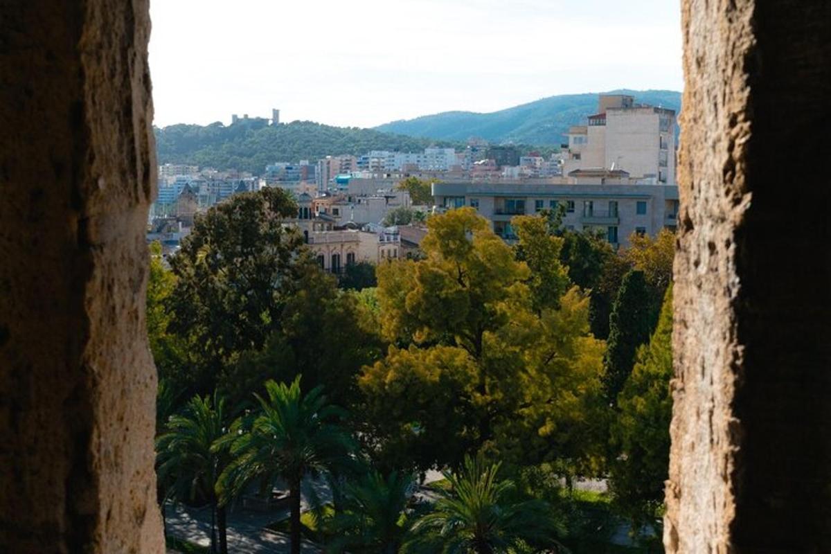 μια θέα μιας πόλης με δέντρα και κτίρια