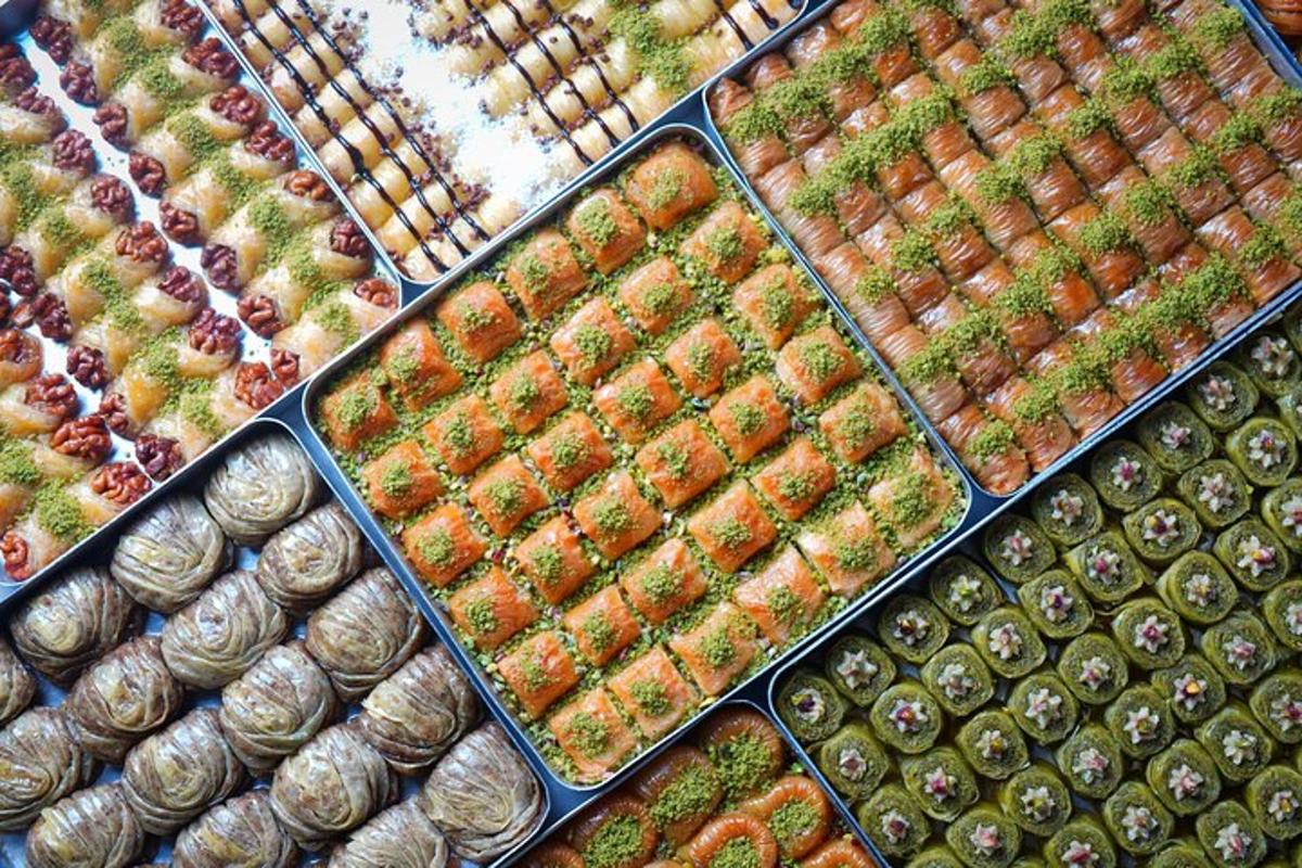 um monte de diferentes tipos de plantas em caixas