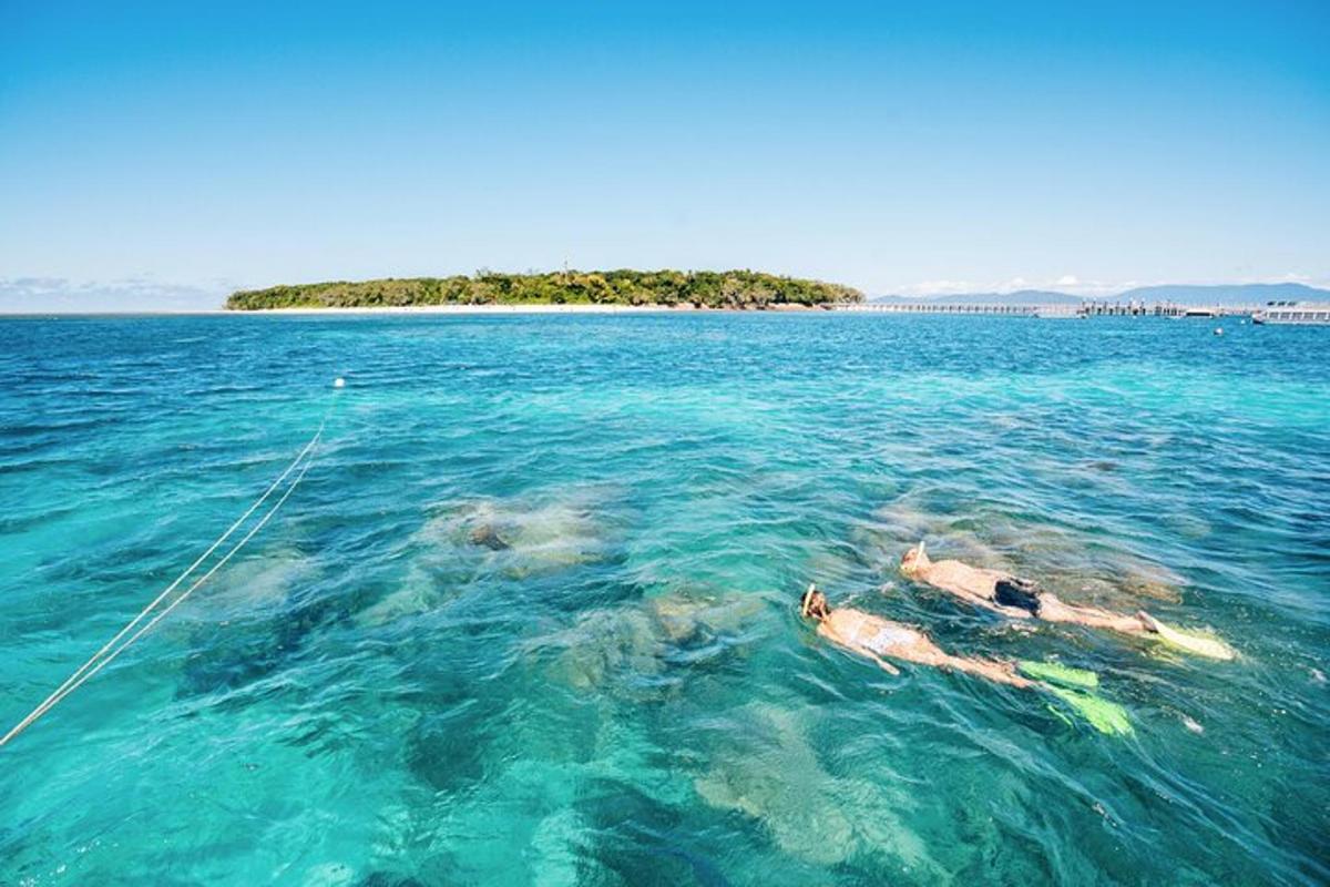 two people swimming in the ocean with an island in the background