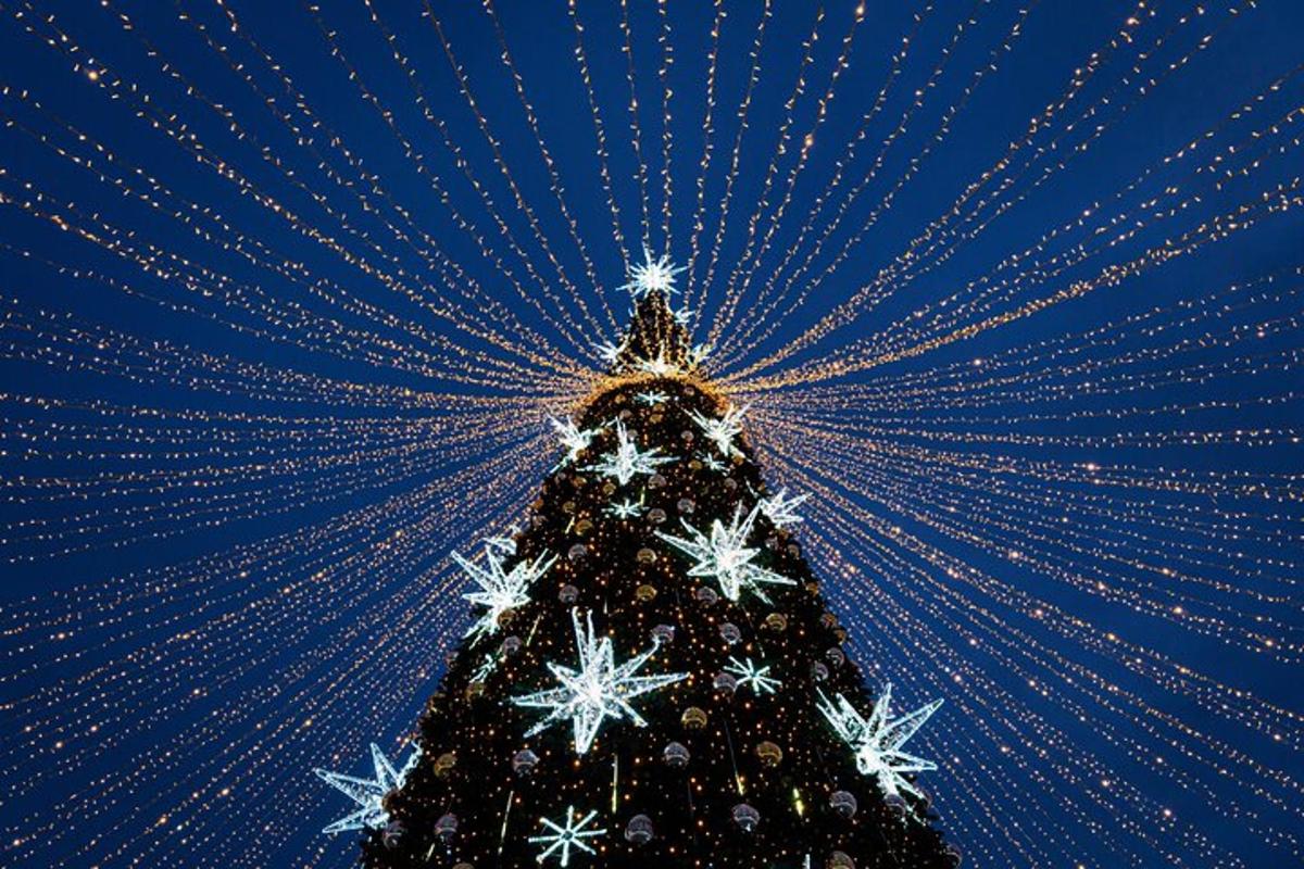 pokok krismas yang dilitupi lampu dengan salji