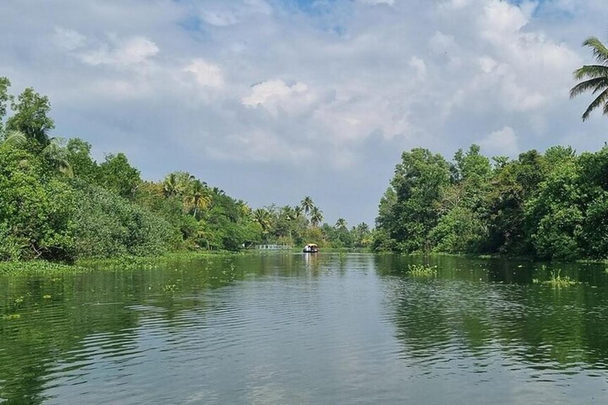 a boat in the middle of a river with trees