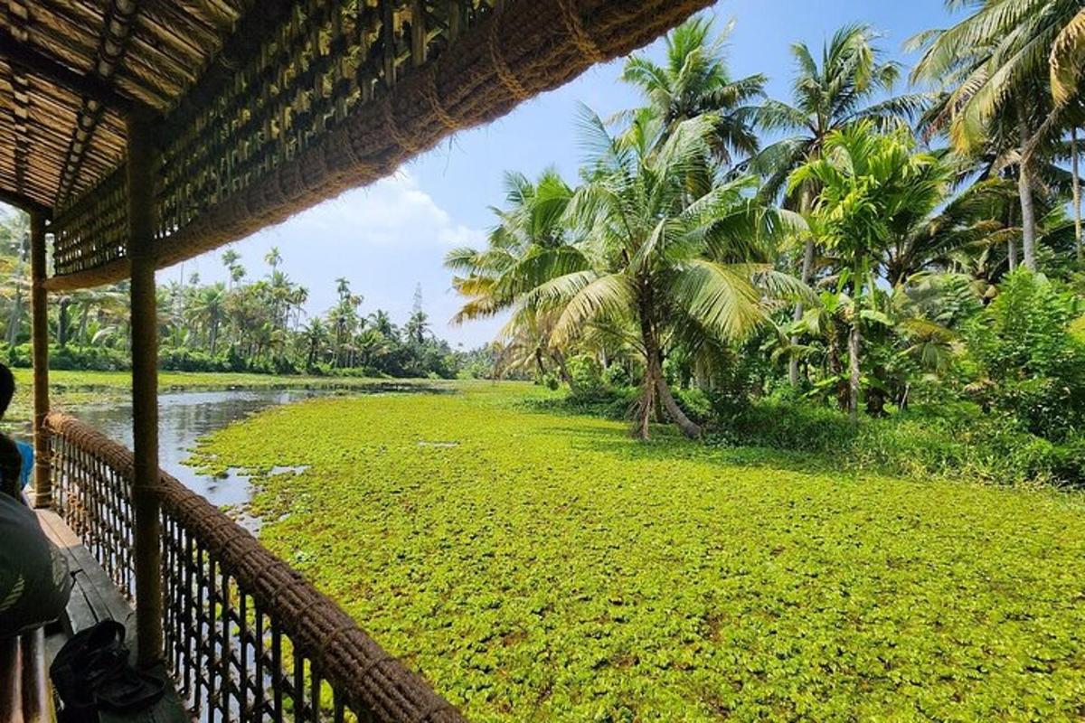 a view from a porch of a river with palm trees