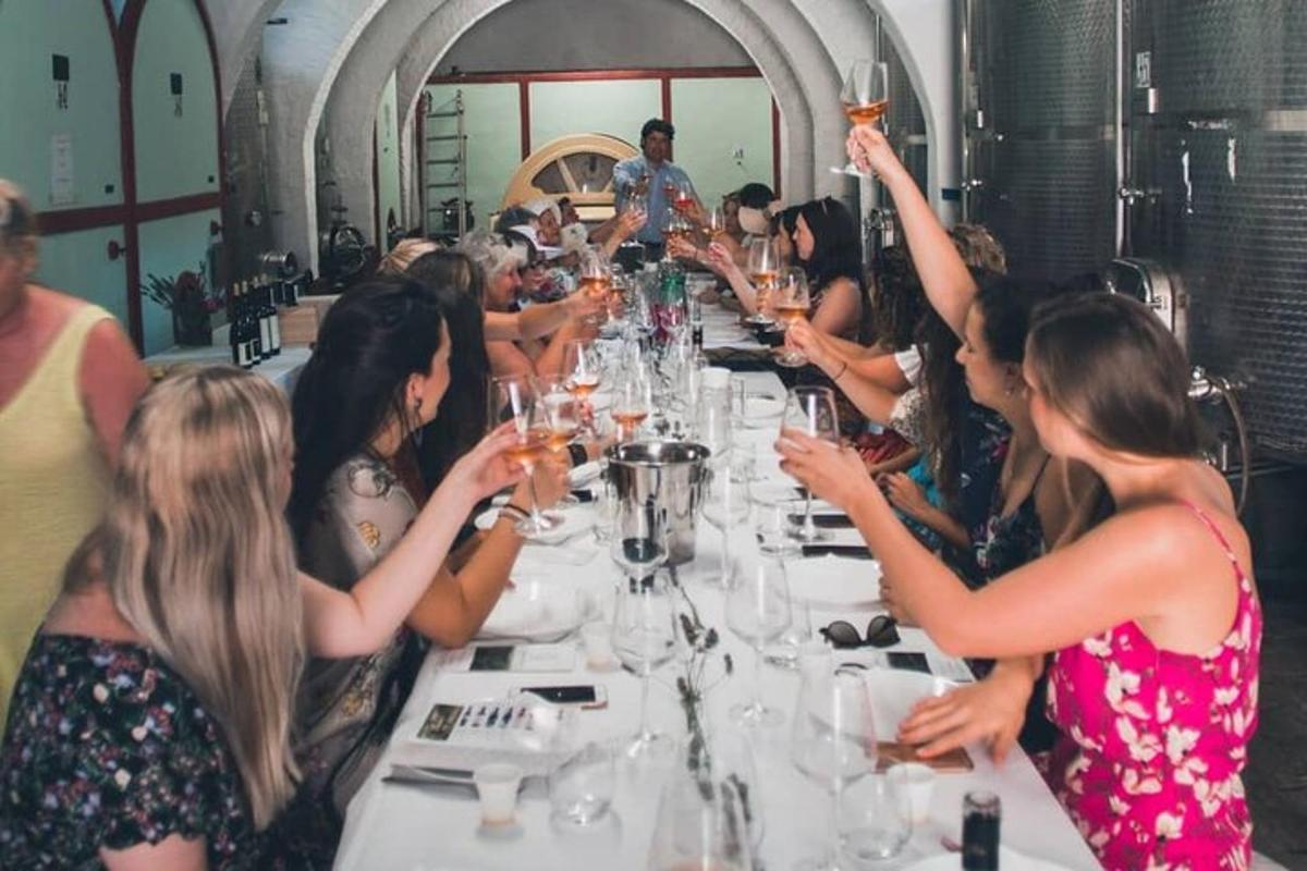 a group of people sitting at a long table with wine glasses
