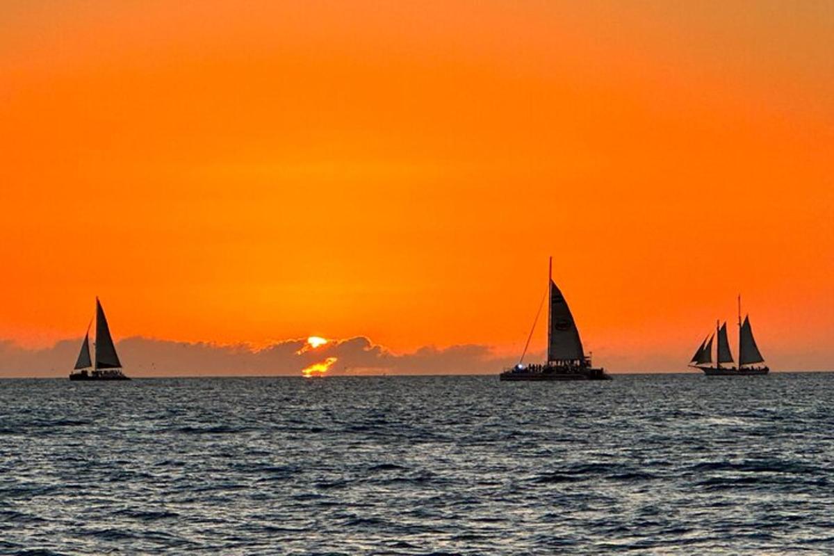 a group of sailboats in the ocean at sunset