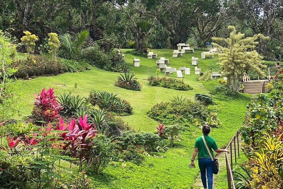 a man walking down a path through a cemetery