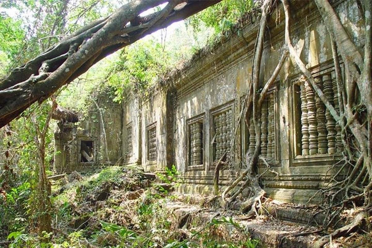 ein altes Gebäude im Wald mit Bäumen