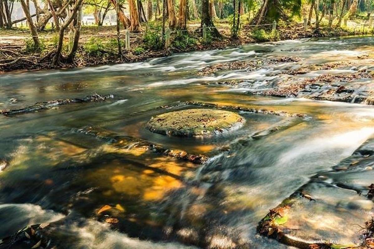 un râu cu pietre și copaci în fundal
