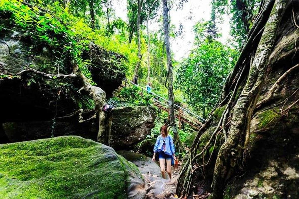 eine Frau, die einen Pfad in einem Wald entlang geht