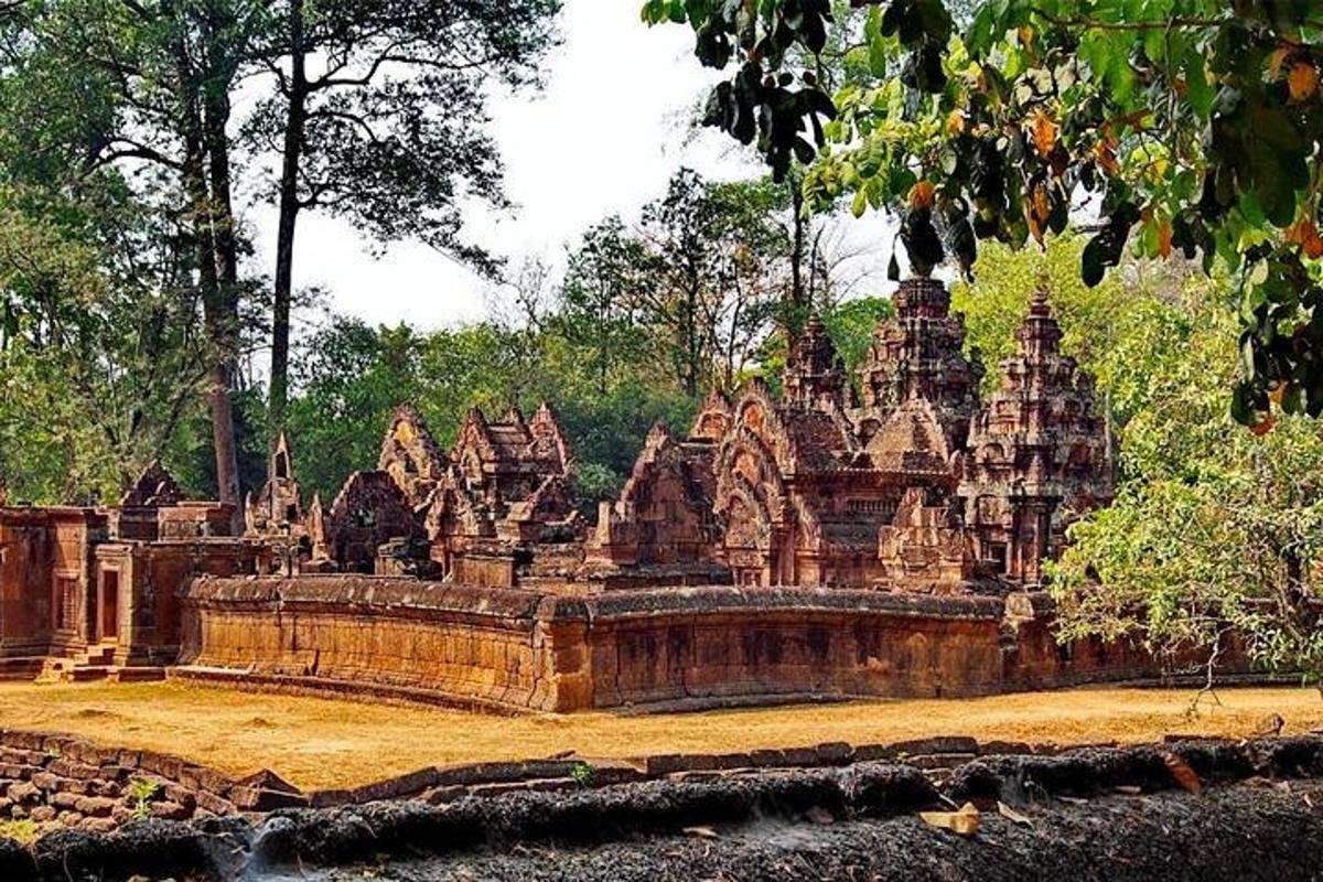 một tòa nhà đá lớn với cây cối ở phía sau