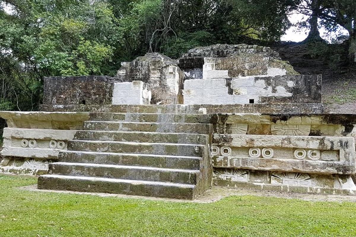 una serie di gradini in pietra in un campo con erba