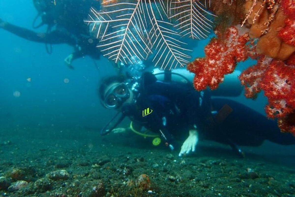 dve osebi plavata v oceanu blizu koralnega grebena
