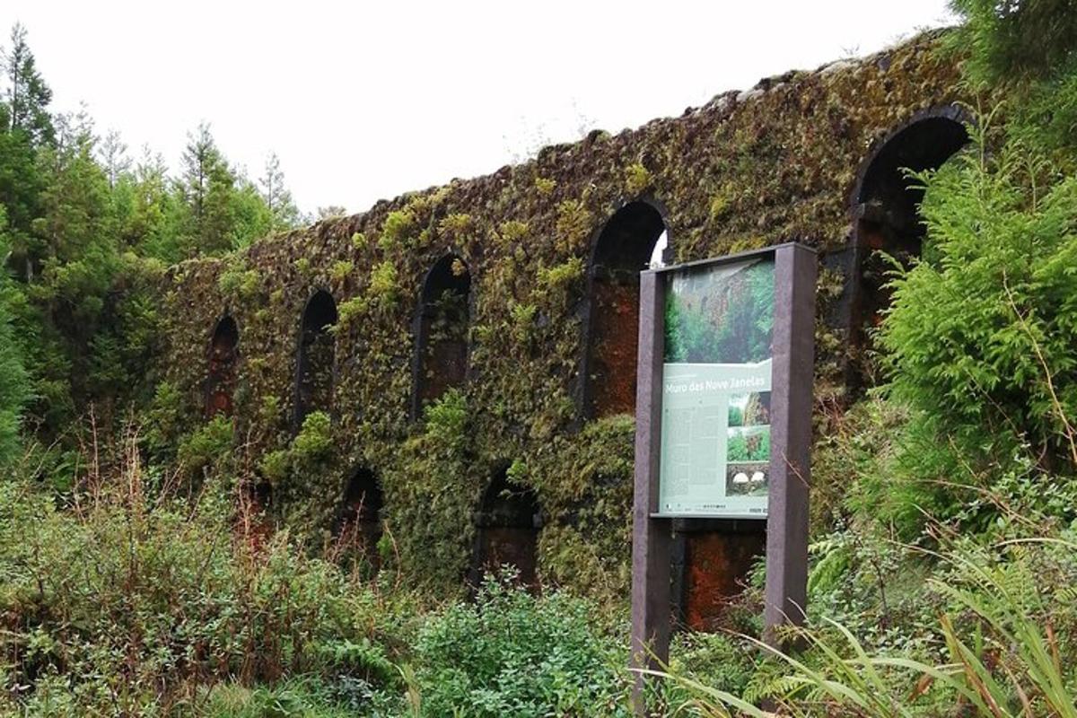 un edifici cobert d'heura amb un rètol al costat