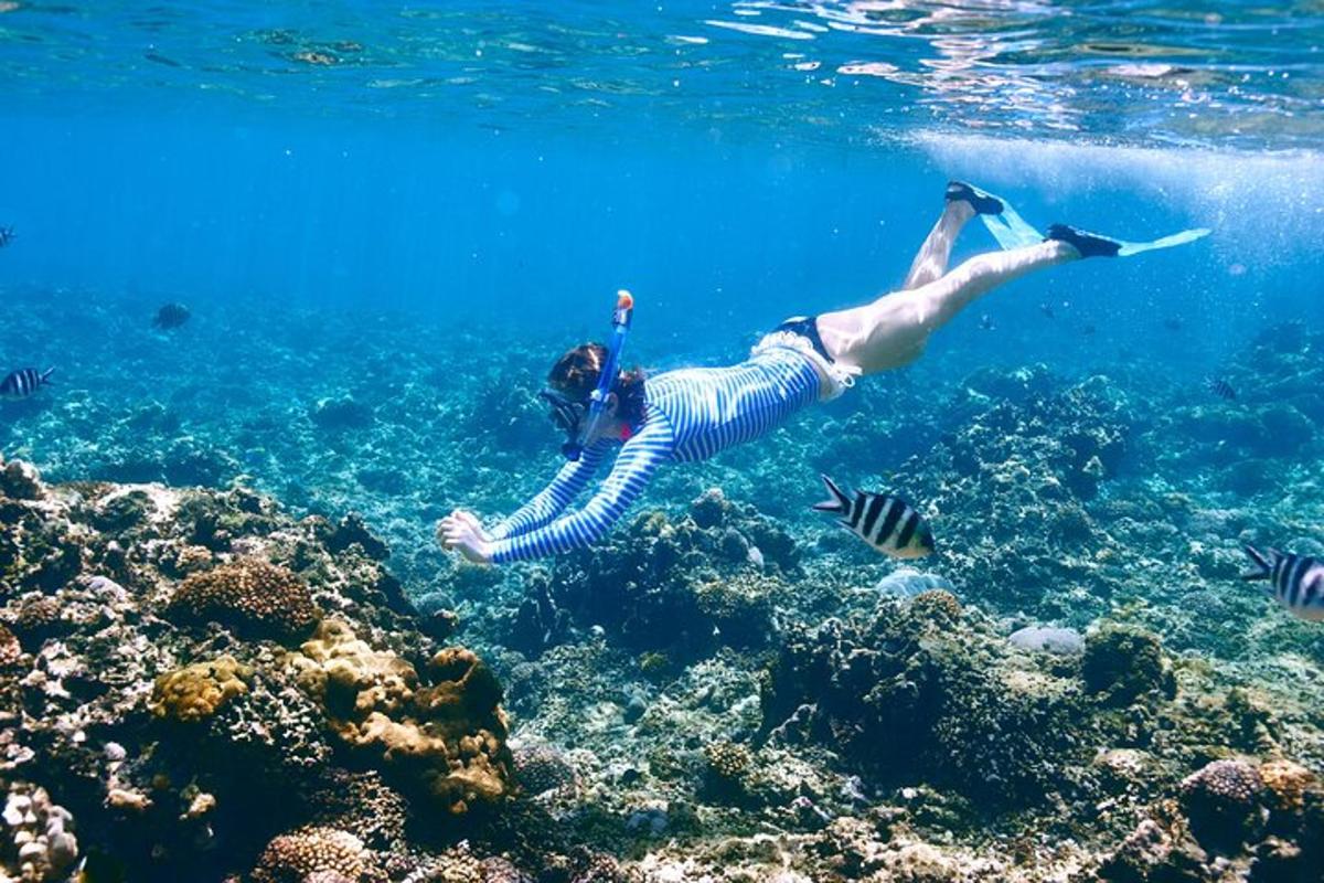 Žena plave v oceánu s rybami