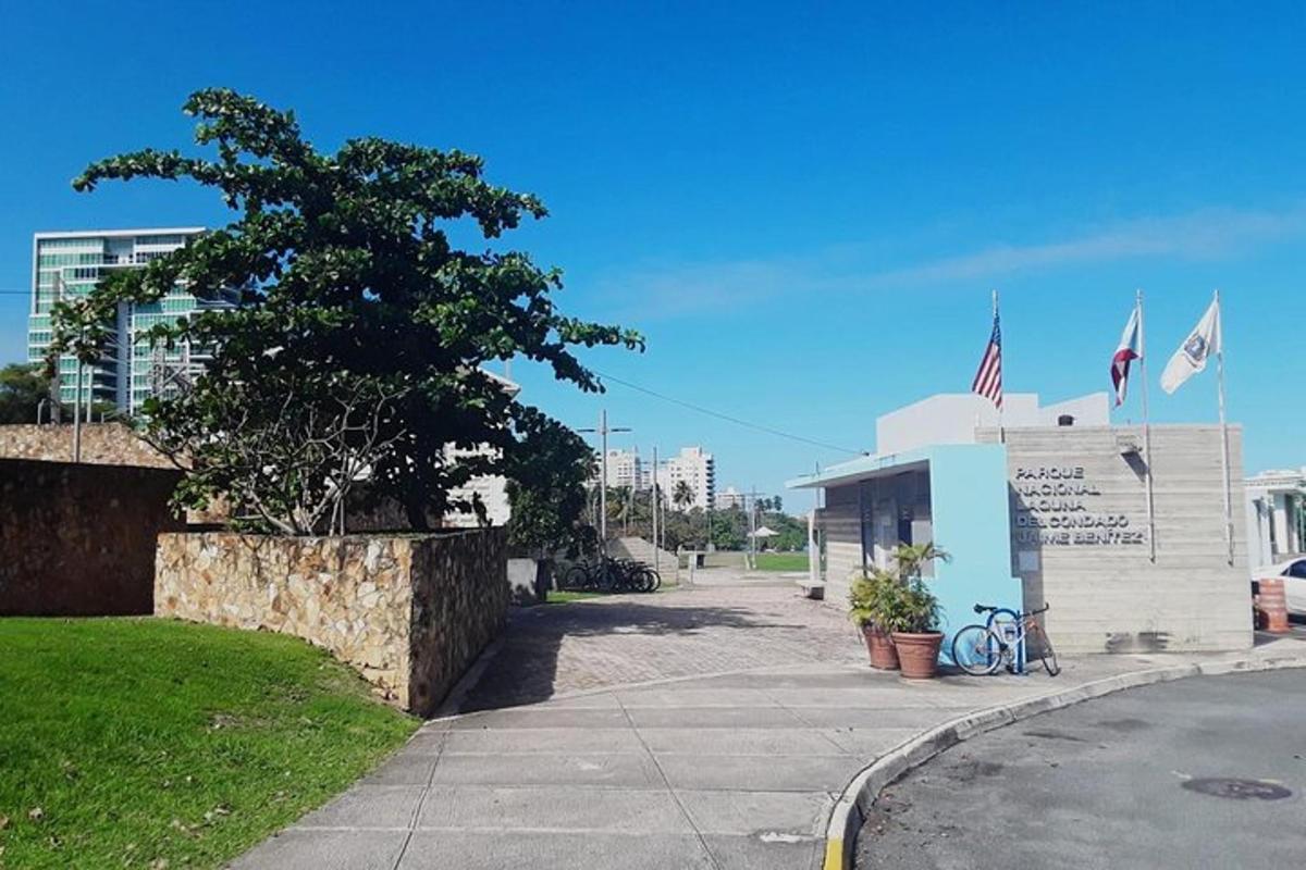 a building with a tree on the side of a street