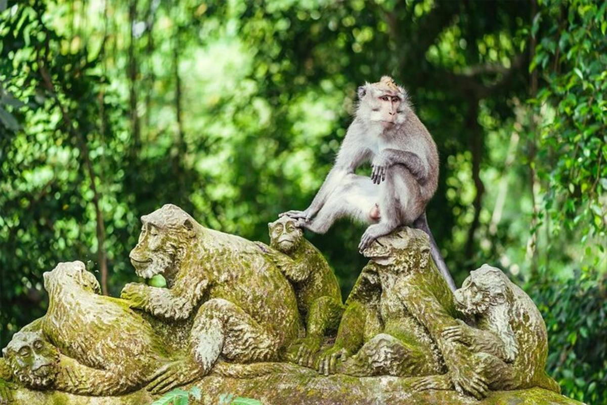 um macaco sentado no topo de uma estátua