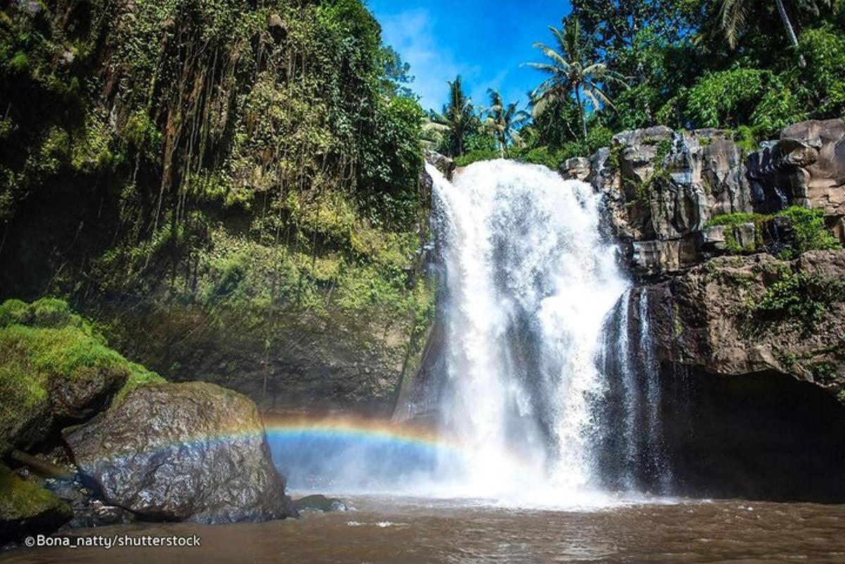 ein Regenbogen vor einem Wasserfall