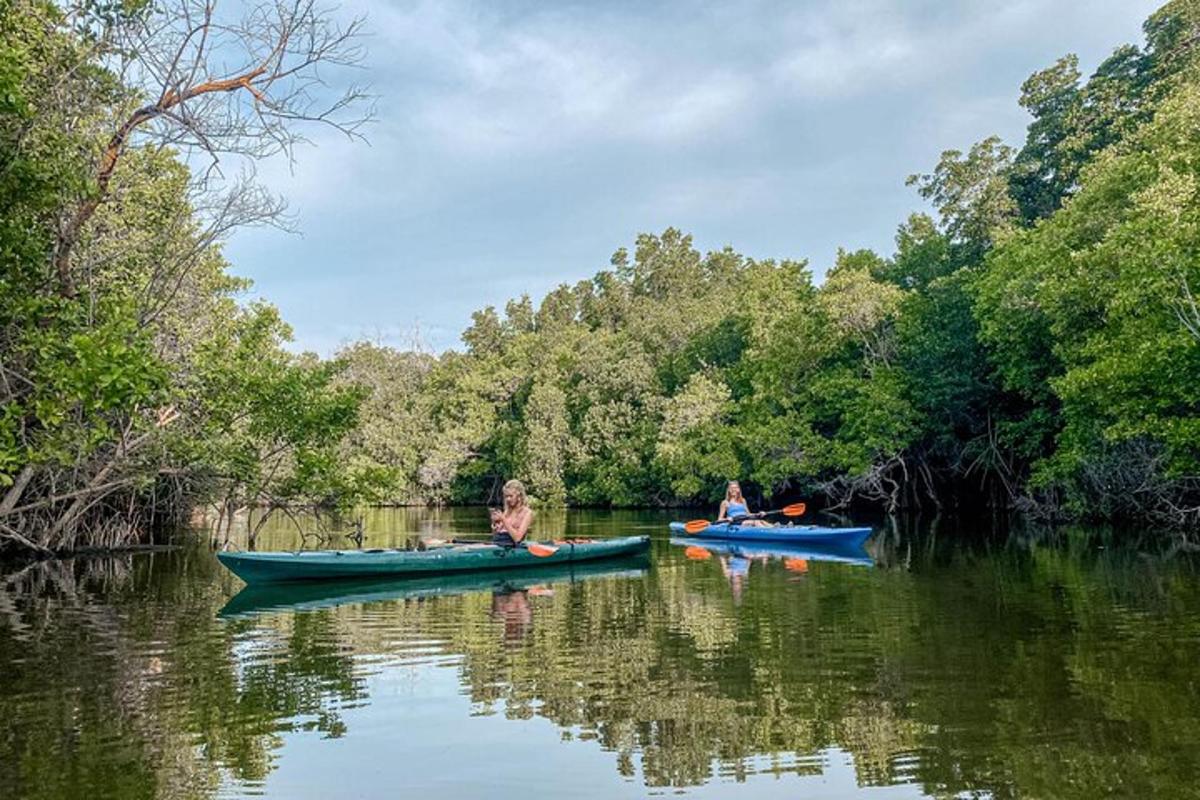 two people in kayaks on a river with trees