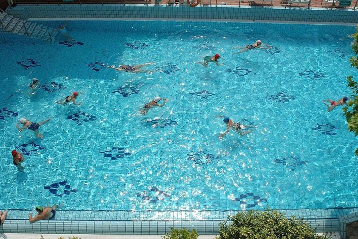 a group of people swimming in a swimming pool
