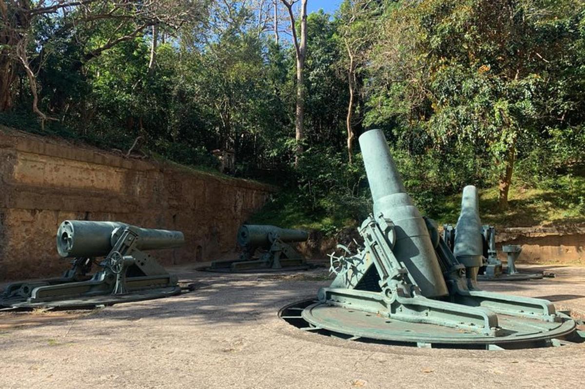 Un grupo de cañones sentados en un parque