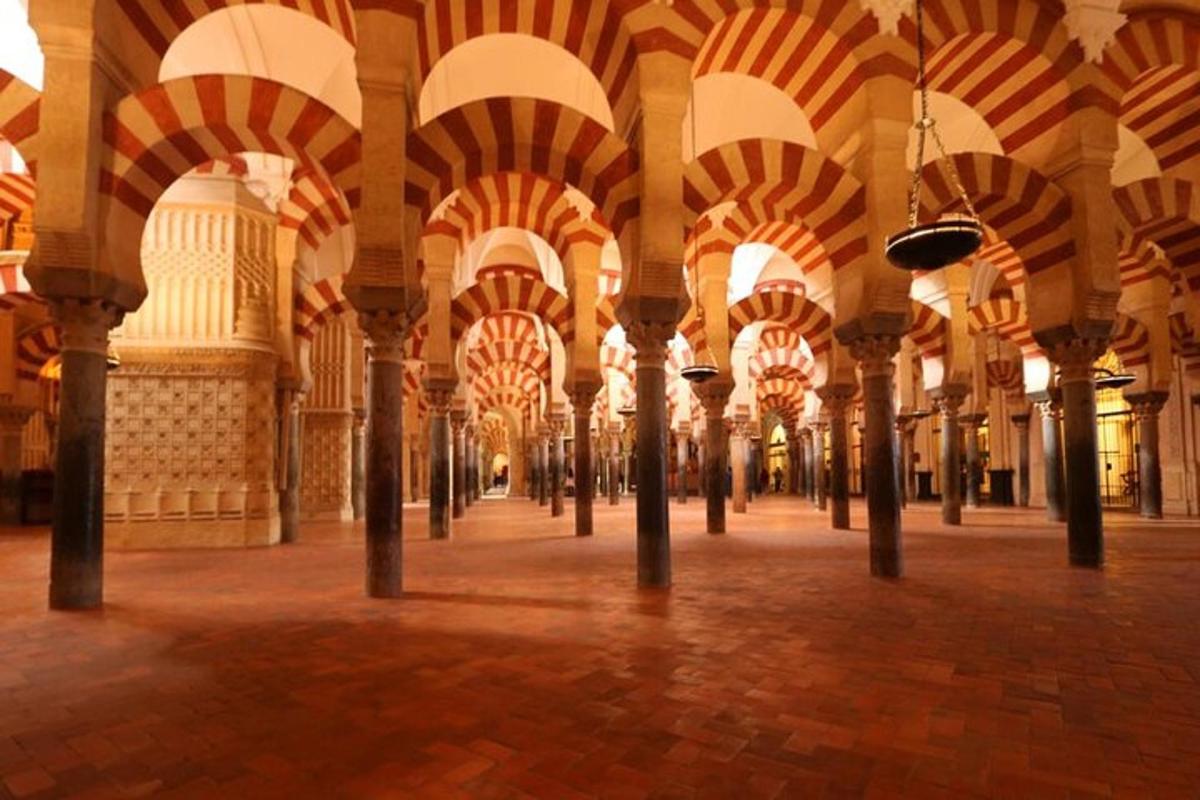 Attractiefoto 7