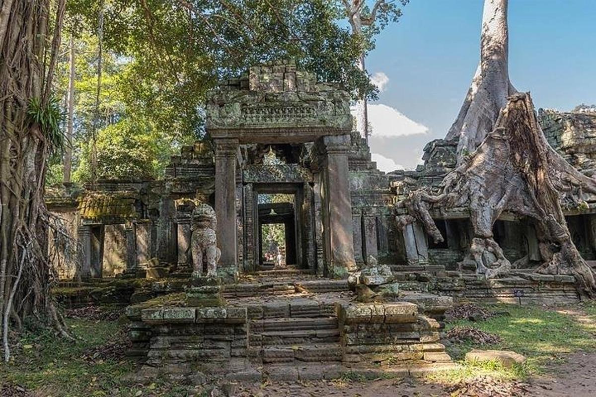 Un edificio antiguo con una puerta en un bosque.