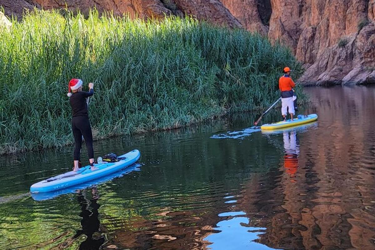duas pessoas estão em pé em pranchas de remo na água
