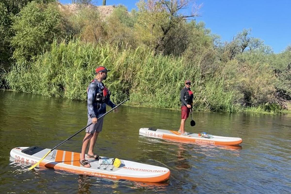 dois homens estão em pé em pranchas de remo na água