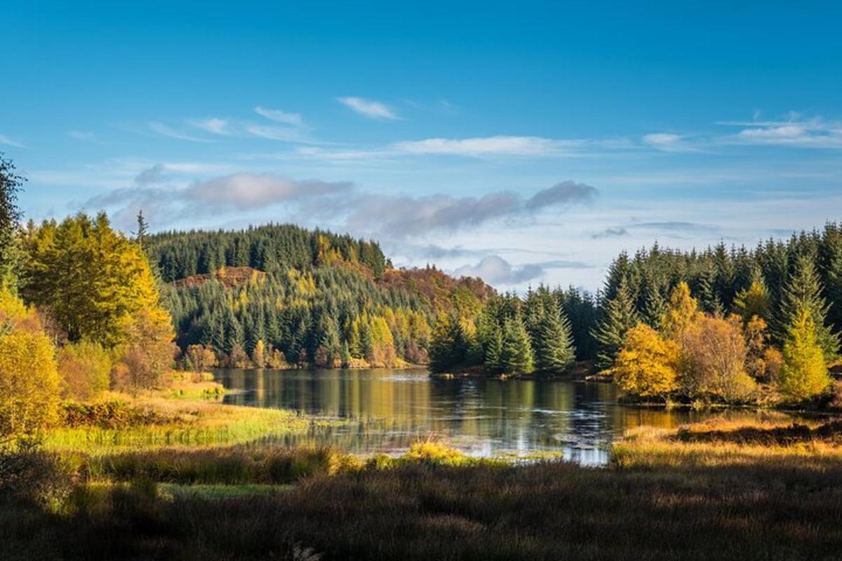 un fiume in mezzo a un campo con alberi