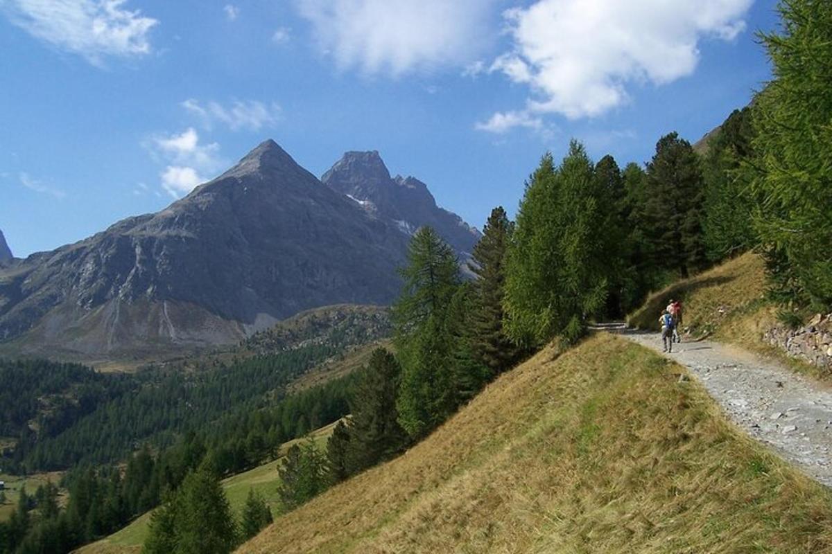žmogus, važiuojantis dviračiu kalnų keliu