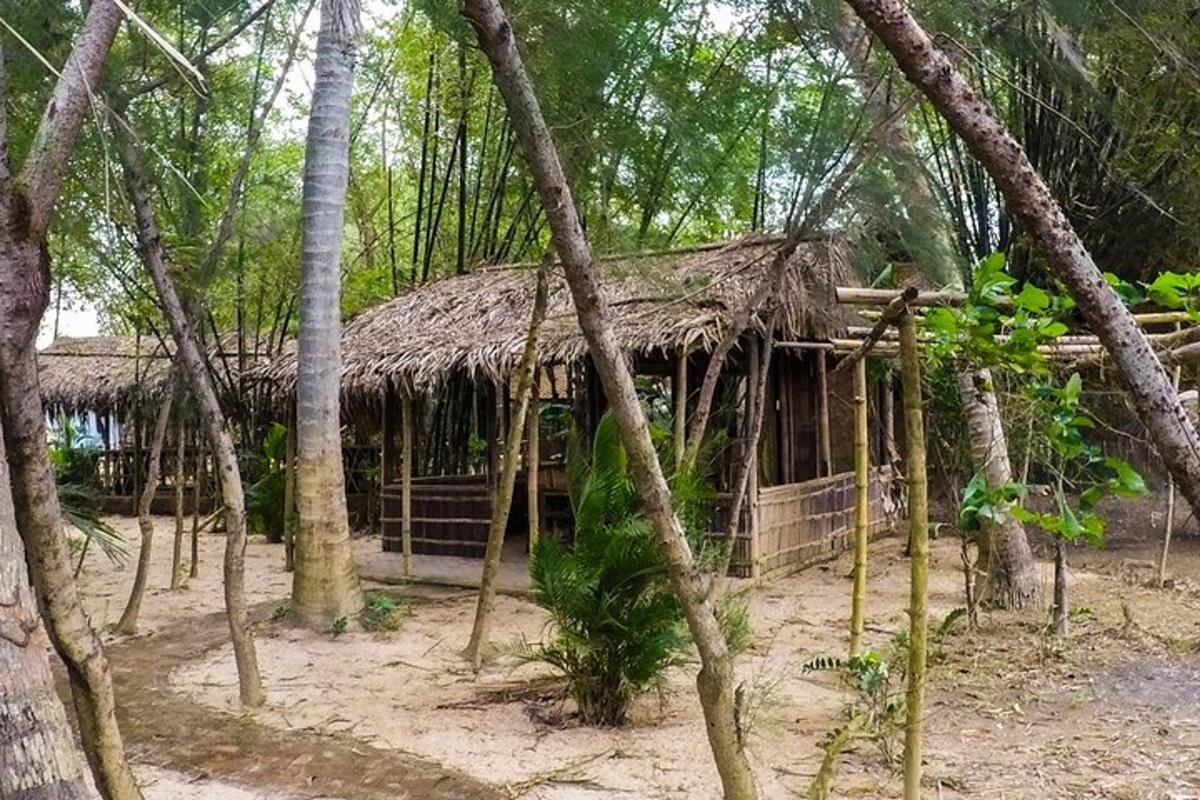 Una vieja cabaña con techo de paja en el bosque