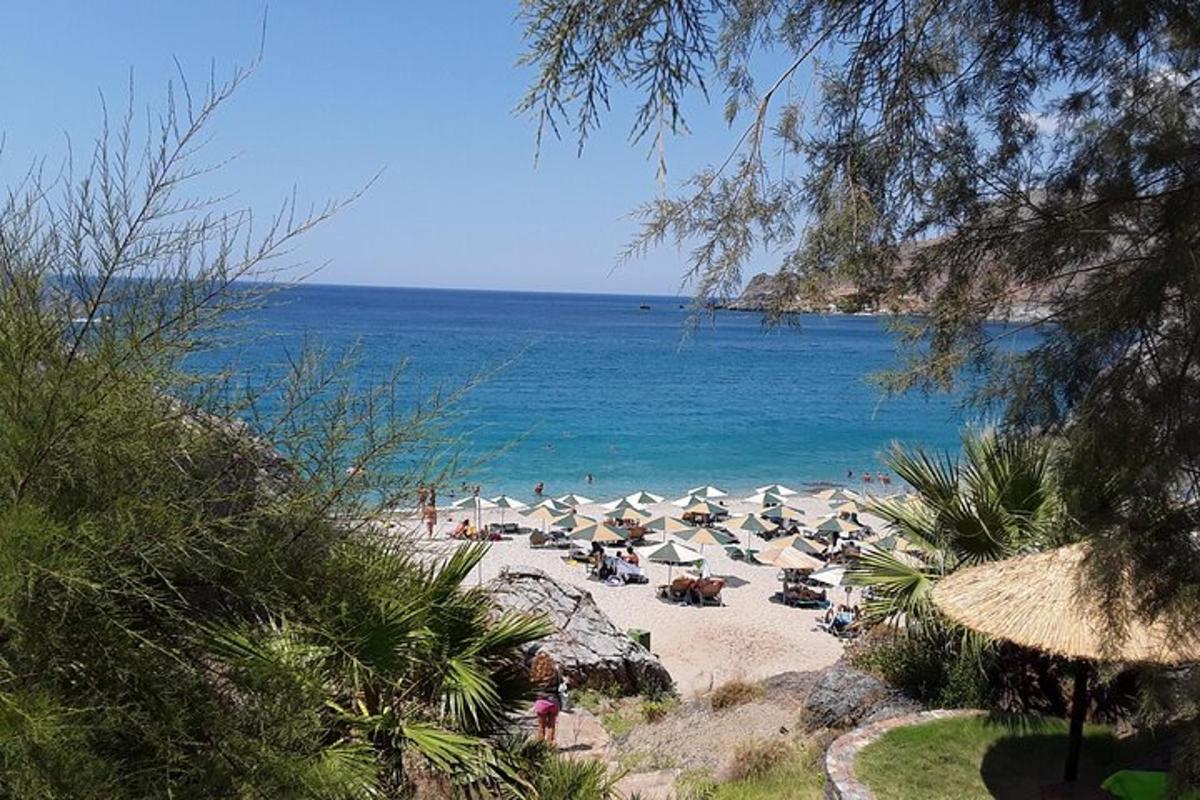 plaža s številnimi senčniki in ljudmi na plaži
