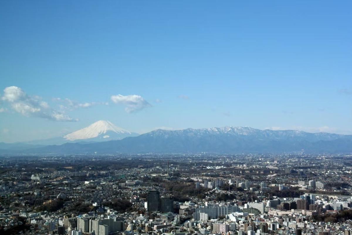 a view of a city with a mountain in the background