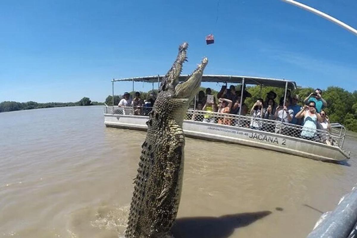 an alligator standing in the water next to a boat
