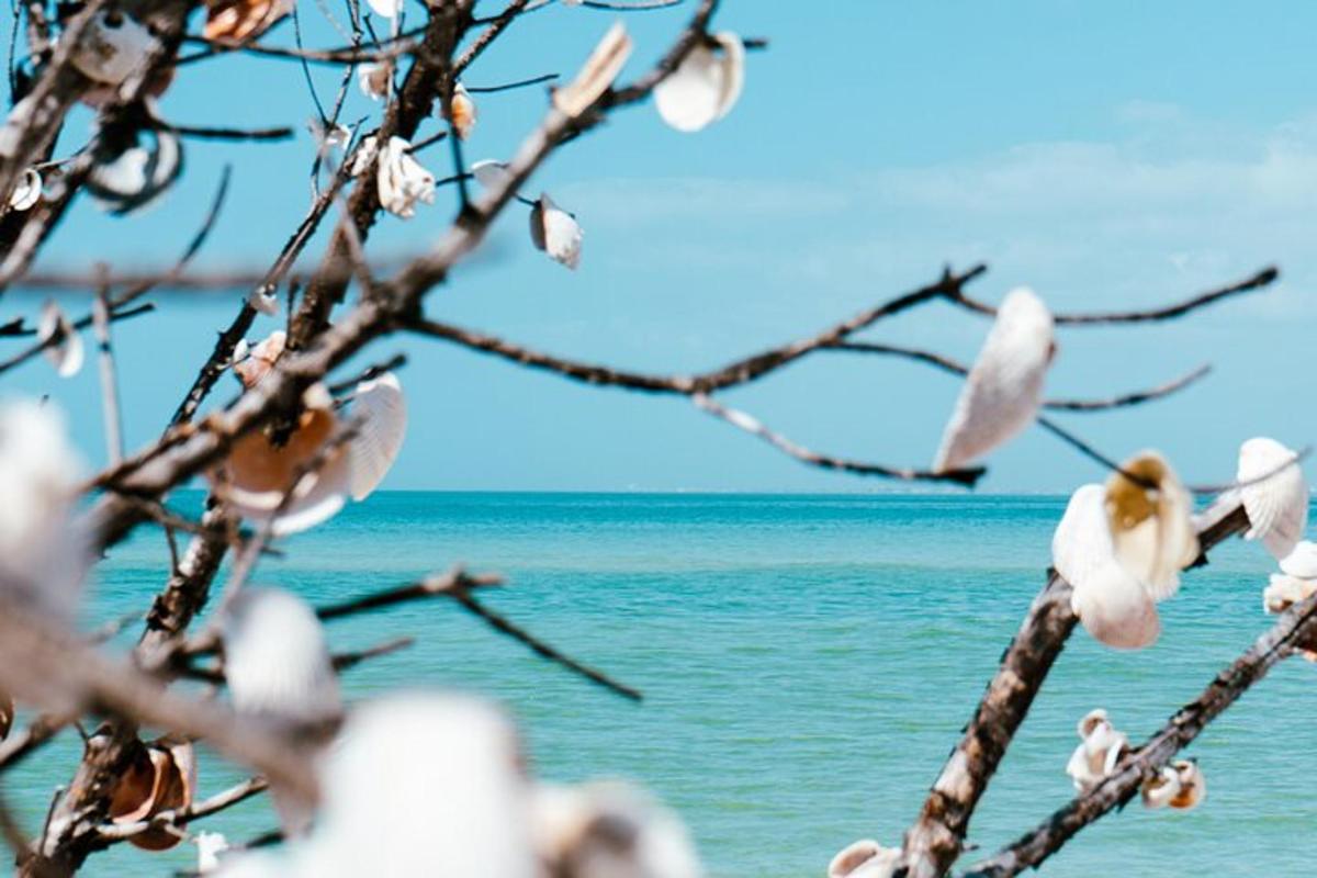 una rama de árbol con pájaros blancos en la playa
