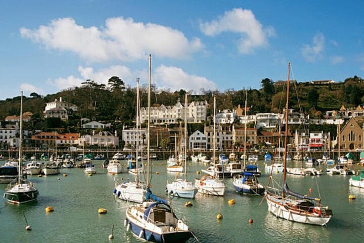 a bunch of boats are docked in a harbor
