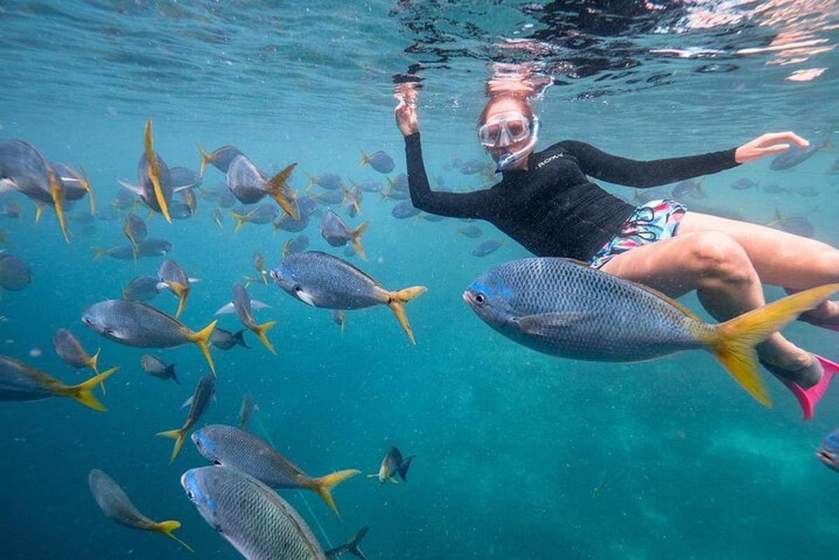 a woman swimming in the water with a group of fish