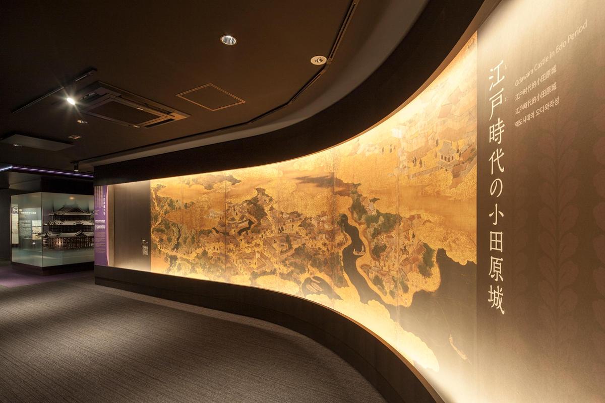 a wall in a museum with a map on it