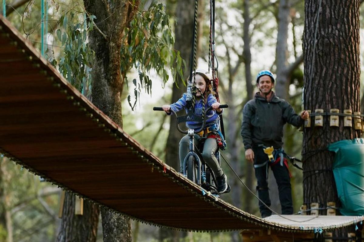 a woman riding a bike on a suspended bridge in a forest