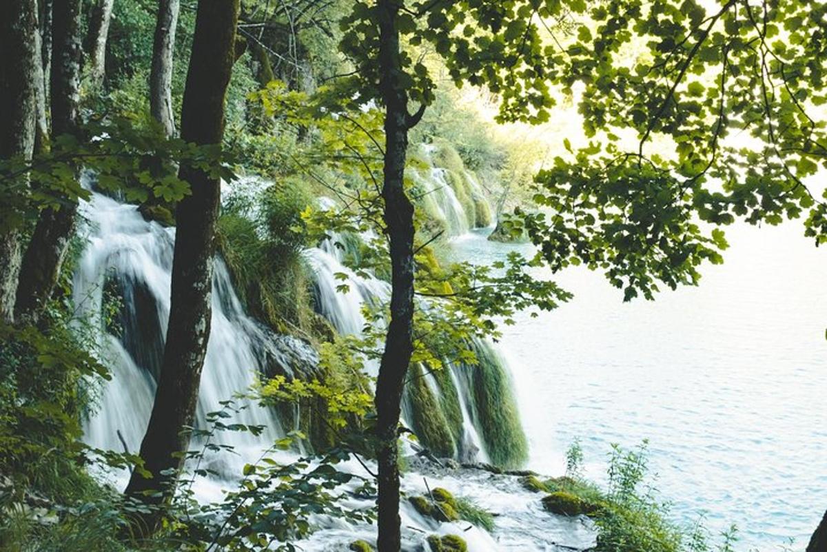 a waterfall in a forest next to a body of water