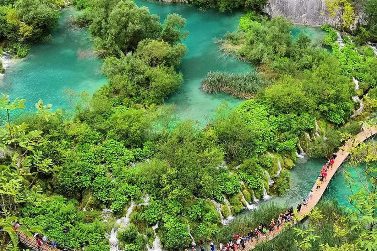 велика група људи која шета поред реке