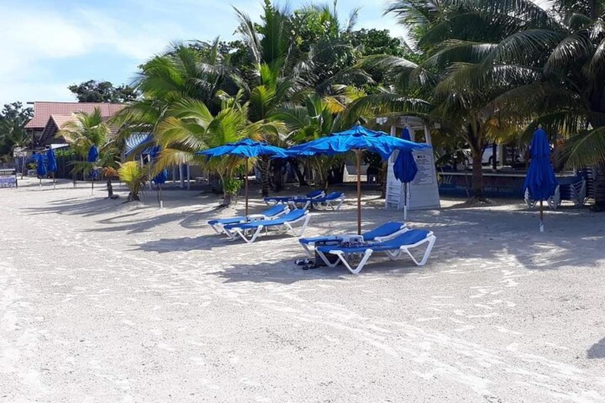 vrsta modrih stolov in senčnikov na plaži