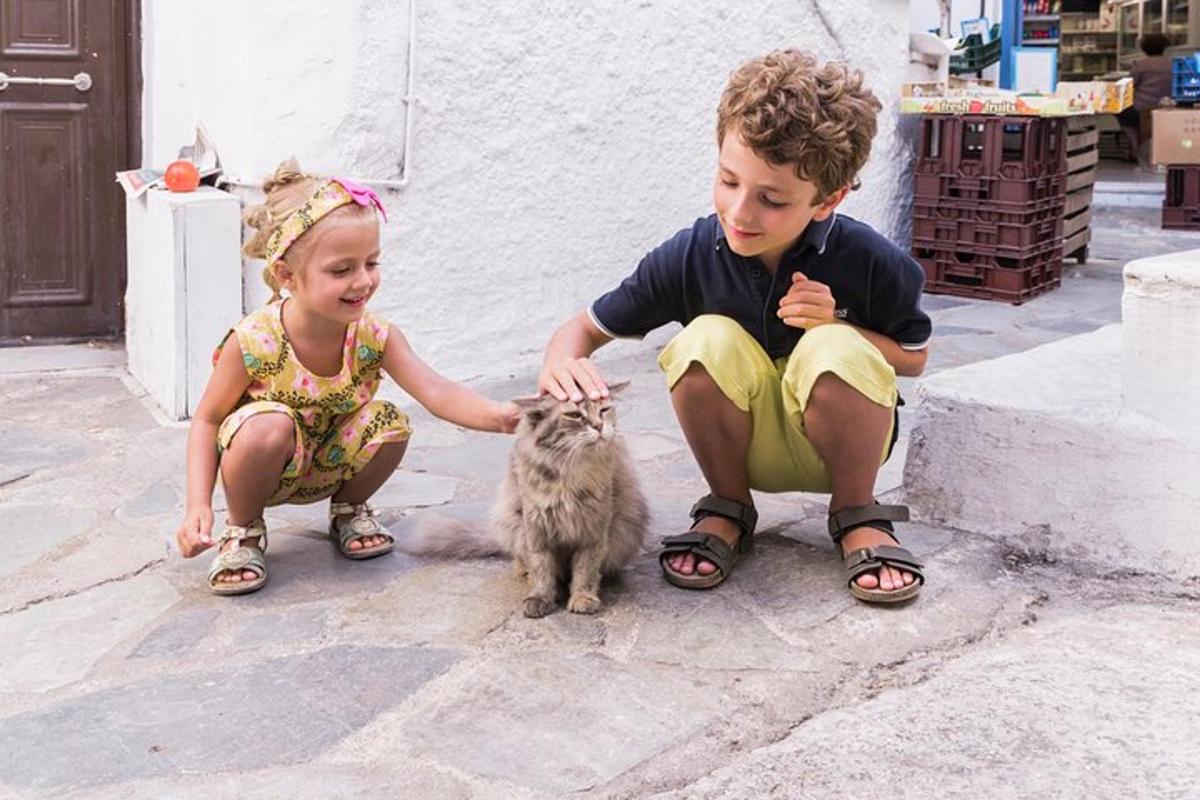 seorang lelaki dan seorang perempuan membelai anak kucing kecil